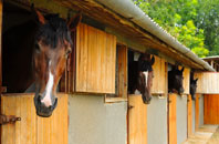 free Cairnpark stable construction quotes